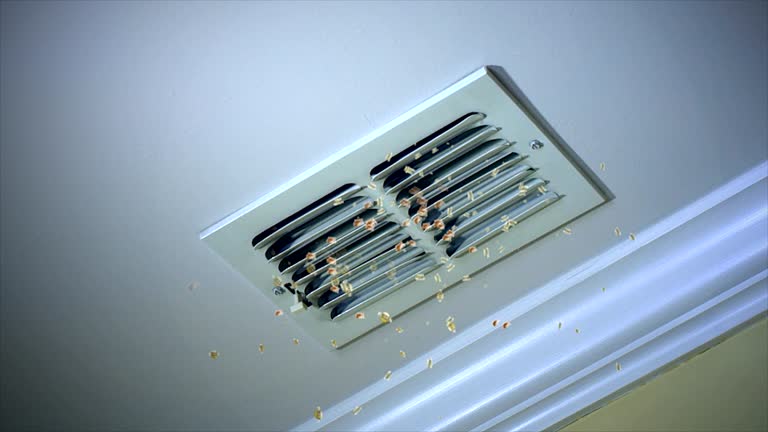 Best Residential Air Duct Cleaning  in Venersborg, WA